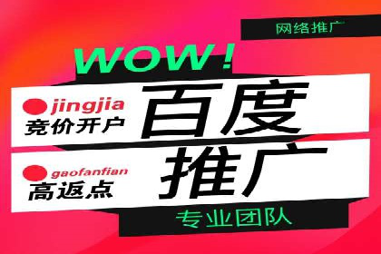 百度SEM广告策略在电商行业的成功案例